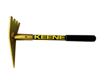 Keene Detector Picks